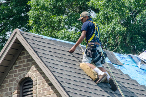 Best Roof Repair Services  in Talahi Island, GA